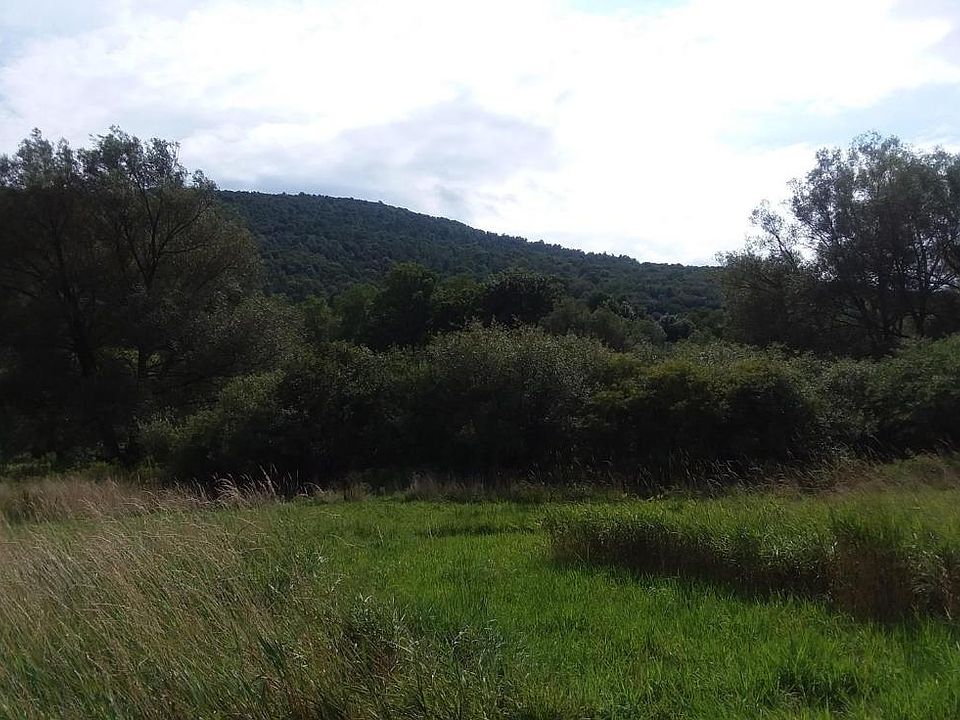 0 Roses Brook Rd, South Kortright, NY 13842 MLS OD130926 Zillow