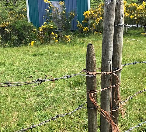 One of many outbuildings