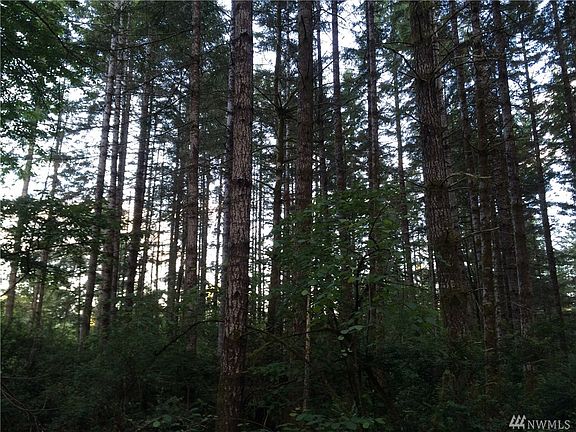 5th image of 12410 160th Ave NW