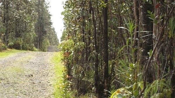 1st image of Road 3 Hopue Lot 2977