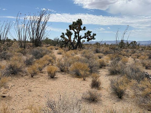 2nd image of 0 E Organ Pipe Dr