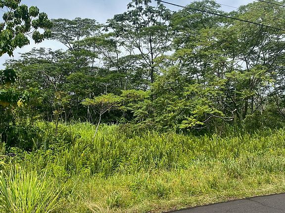 3rd image of 15-1834 7th Ave Lot 2107
