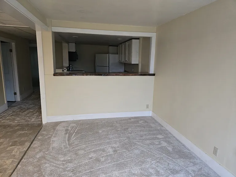 Living Room new carpeting