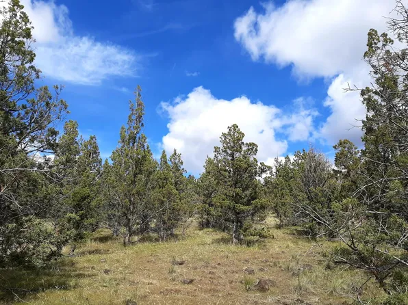SE Walther Loop, Prineville, OR 97754