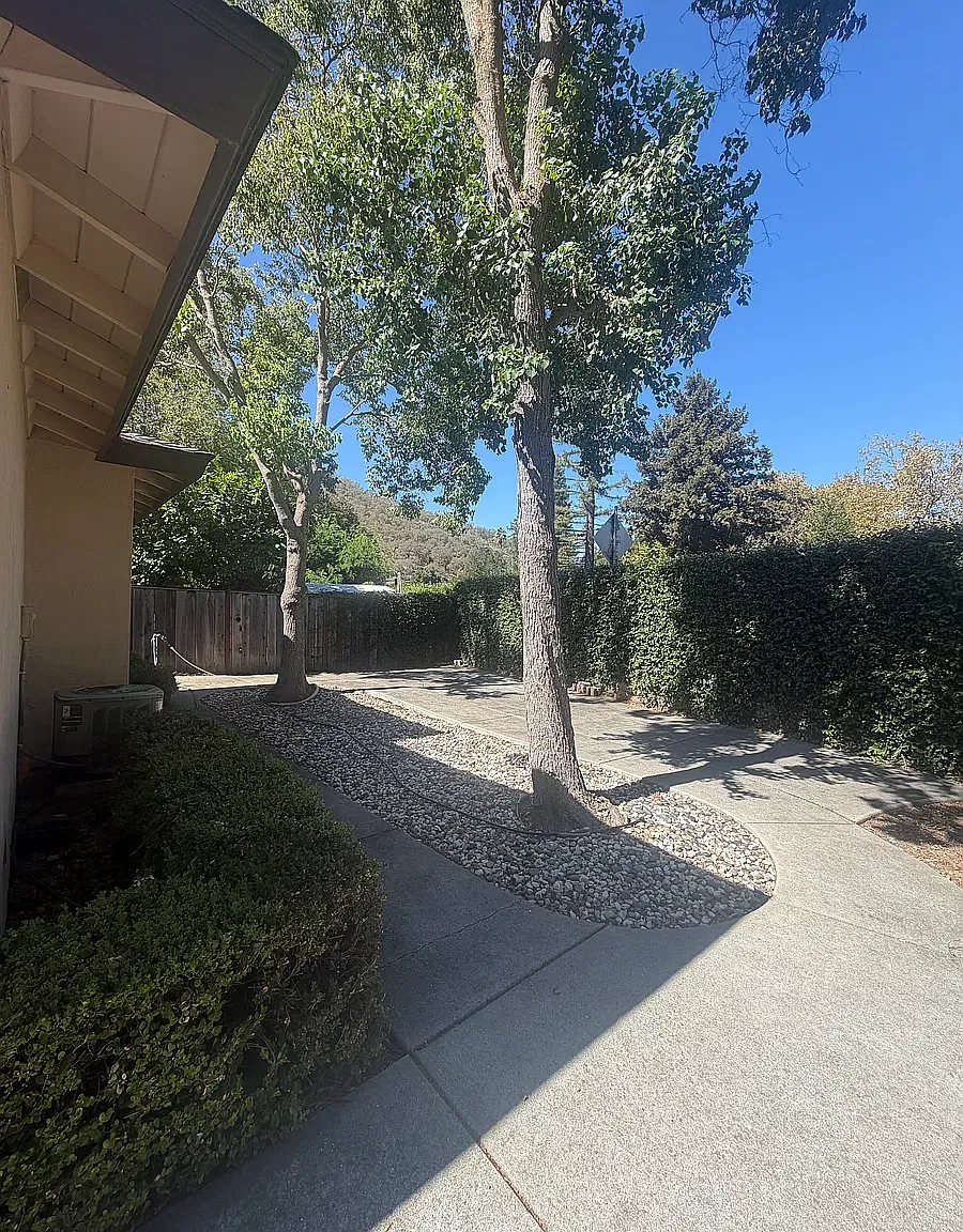 2 bed, 1020 sqft, $2,850 — Photo 3