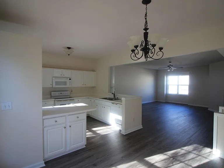 320 Ruby Walk Dr — Photo 10