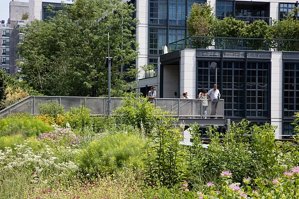 Rented by MNS | media 33