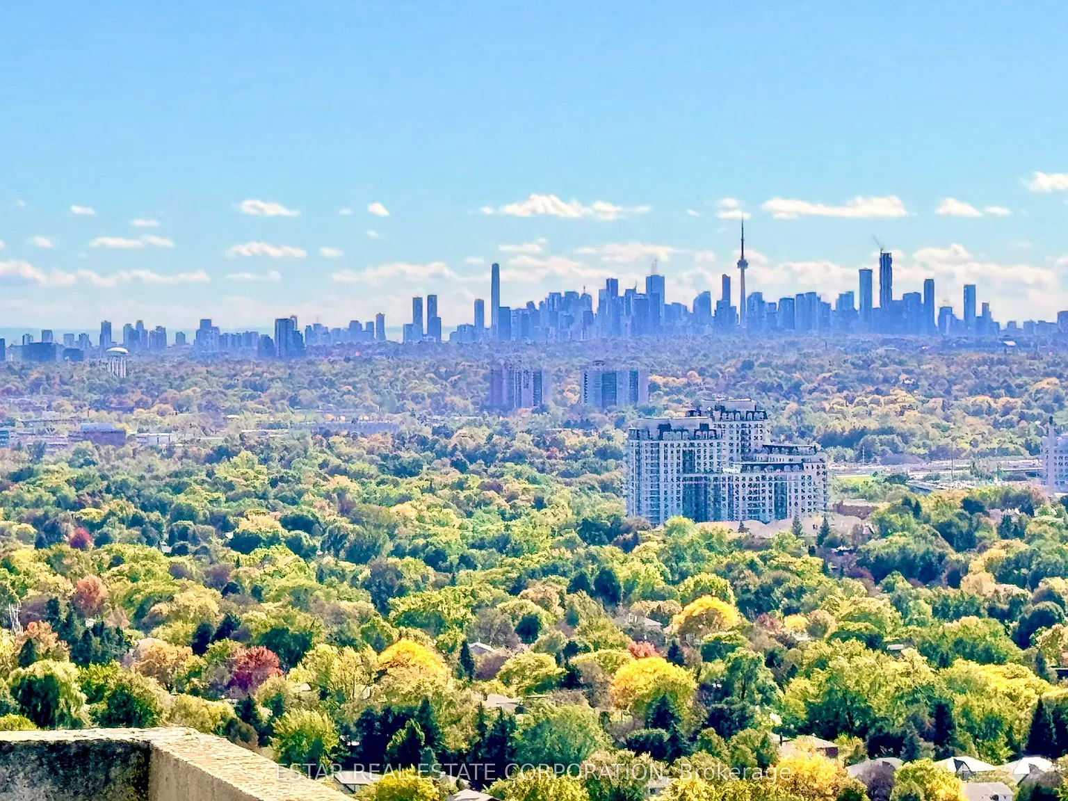 2 bed, $3,000 — Photo 1