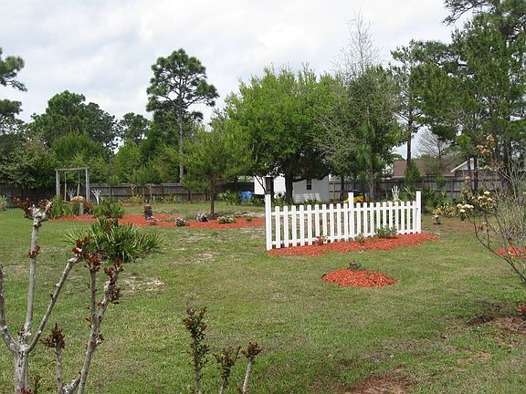 rear yard view