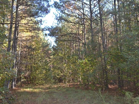 3rd image of Highway 133 S