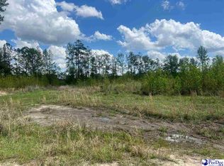 2104 Pate Ln, Timmonsville, SC 29161