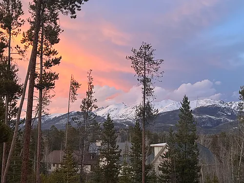 420 Moose Trl Photo 1