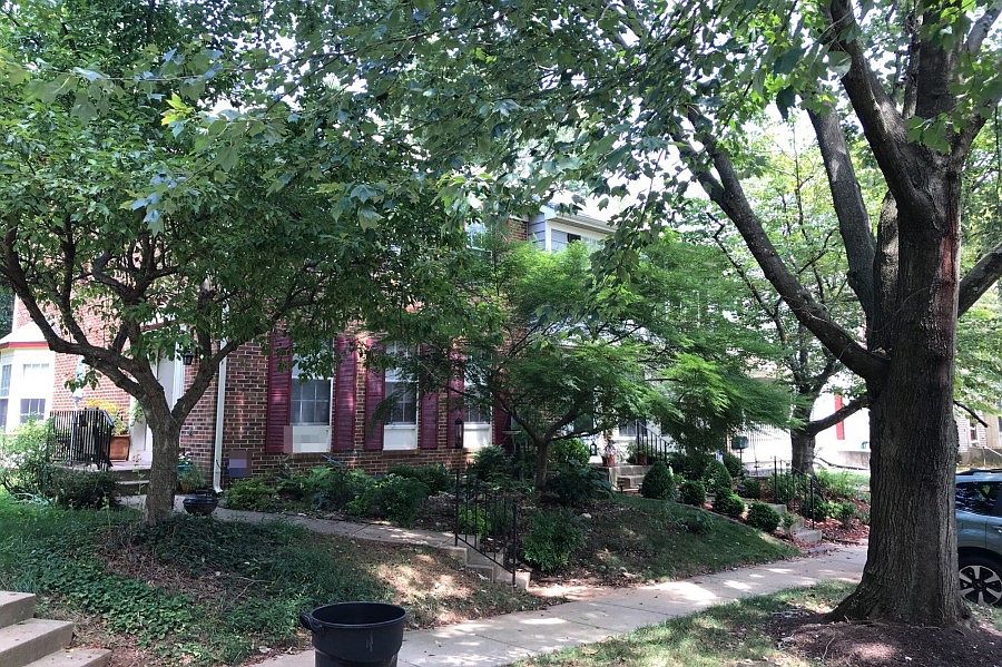 2nd image of 20567 Lowfield Dr