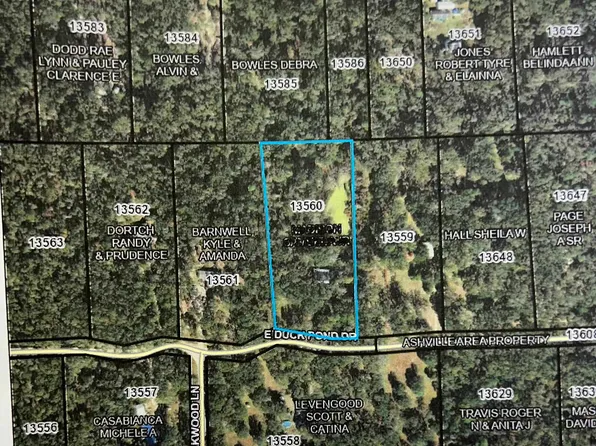 455 E Duckpond Dr, Greenville, FL 32331