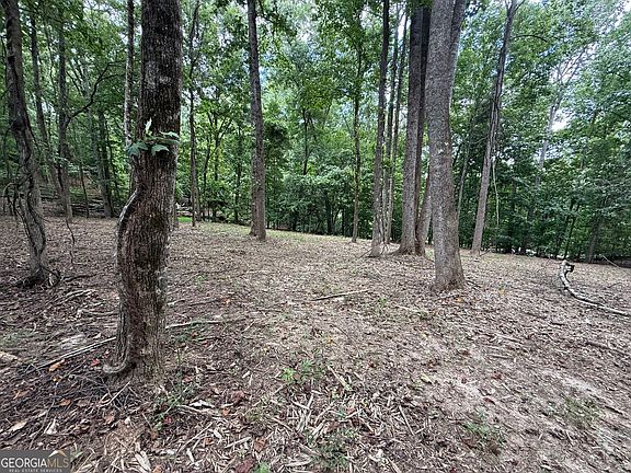 2nd image of 0 Bailey Mill Rd