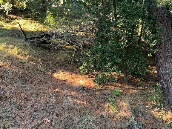 5th image of 6825 Saroni Dr