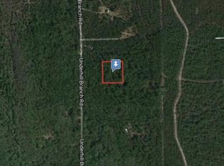 Lake Harney Rd, Osteen, FL 32764