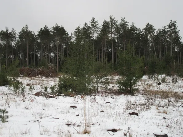 On Farming Rd N, Arbor Vitae, WI 54568