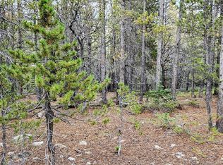 278 Lower Forest Rd, Idaho Springs, CO 80452