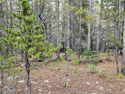 Lot 278 Lower Forest Rd, Idaho Springs, CO, 80452