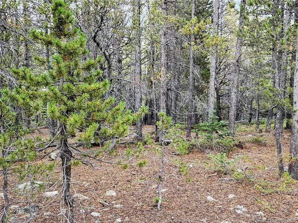Lot 278 Lower Forest Rd, Idaho Springs, CO 80452