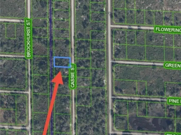 940 Cassie St, Lake Placid, FL 33852