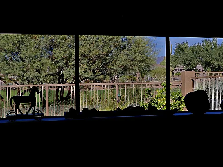6894 E Thirsty Cactus Ln — Photo 36