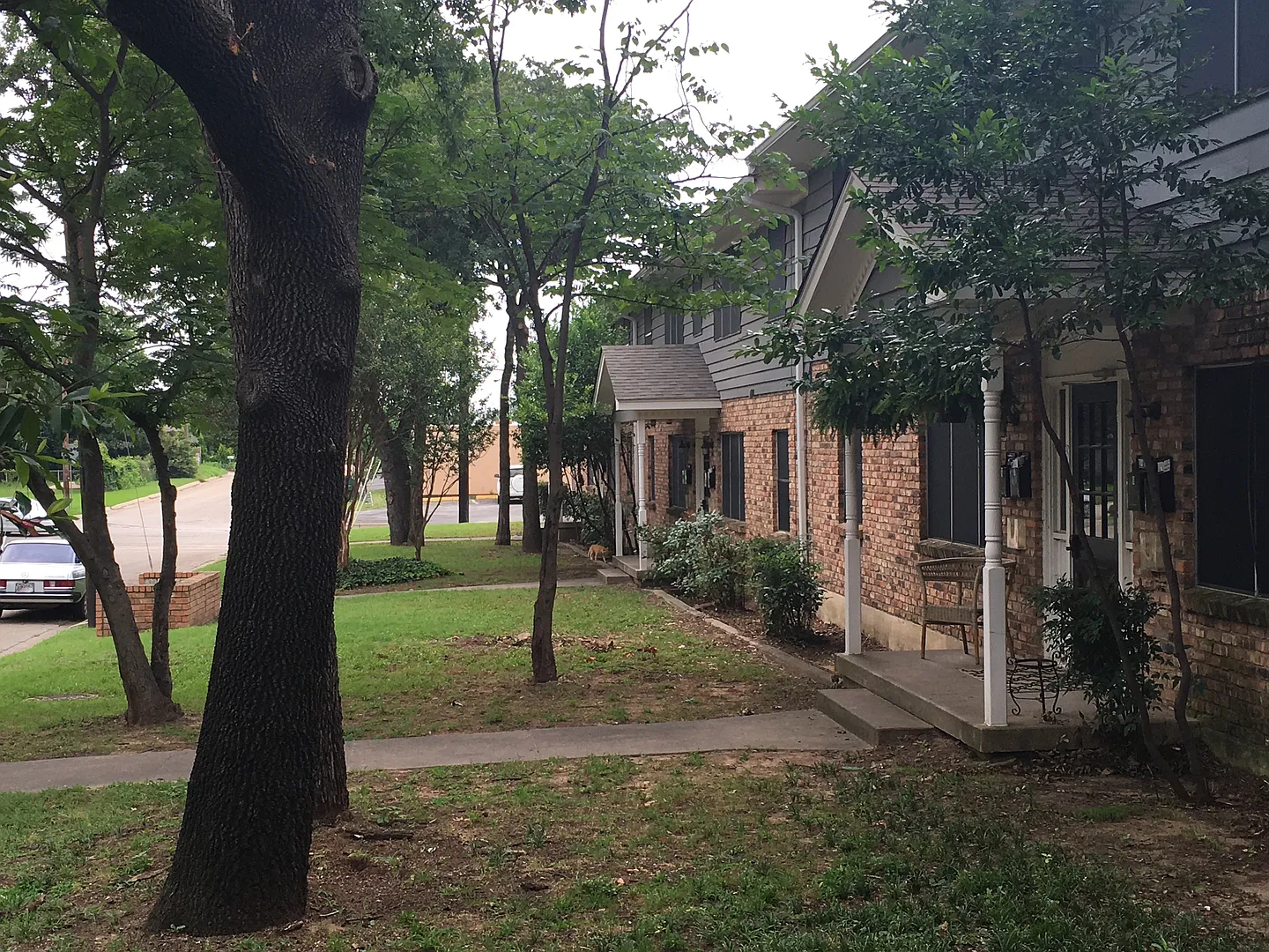 55555Palmwood Place — Photo 2