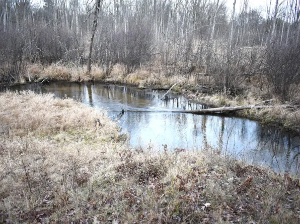 646 W Three Mile Rd, Luther, MI 49656