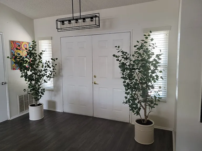 12345 Avenida Ximino — Photo 42
