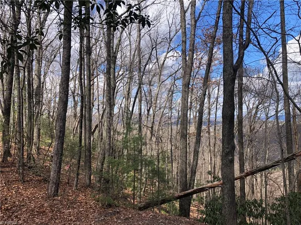 21 Bobcat Mountain Rd Lot 21, Purlear, NC 28665