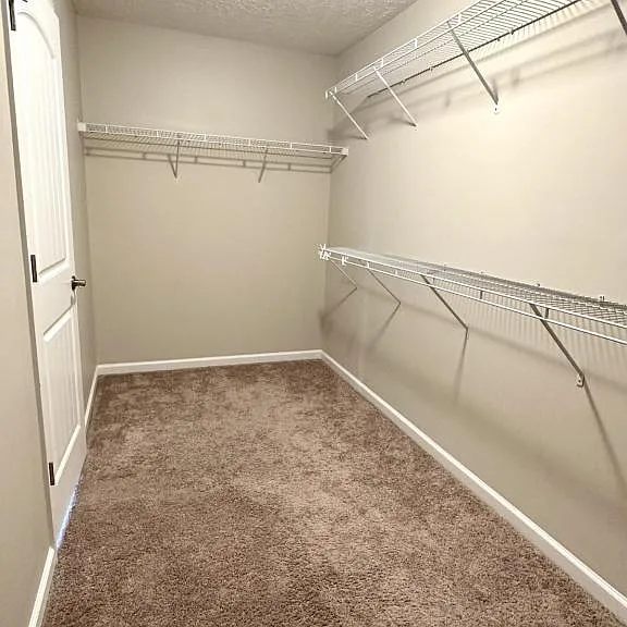 6311 Jacobs Creek Cir — Photo 14