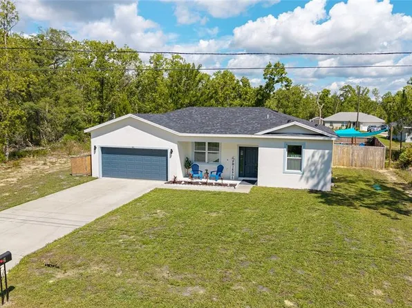 46 Fisher Lane Ter, Ocklawaha, FL 32179