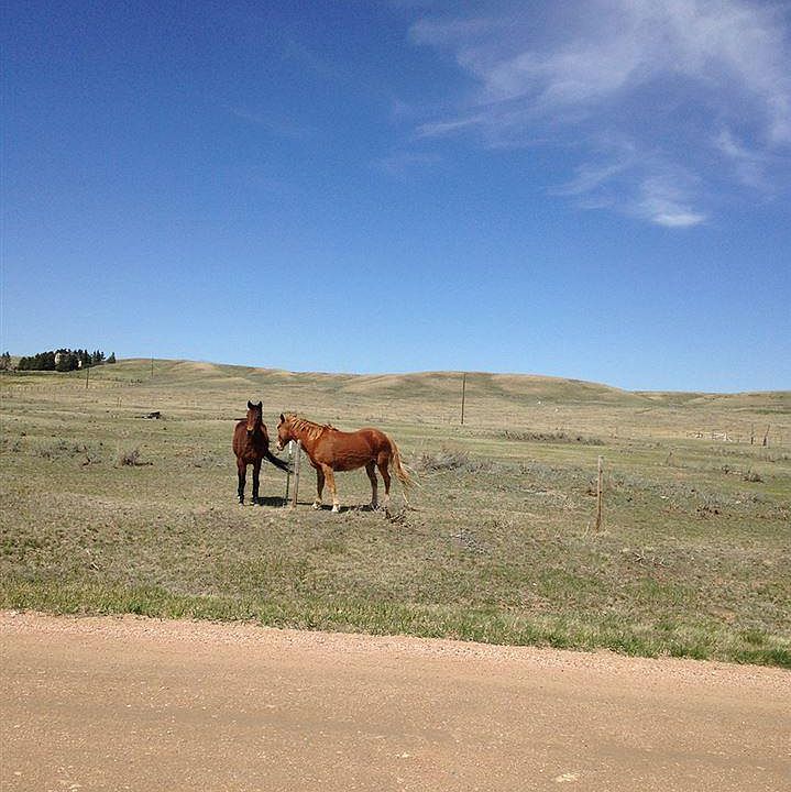 2nd image of 2380 Lodgepole Dr