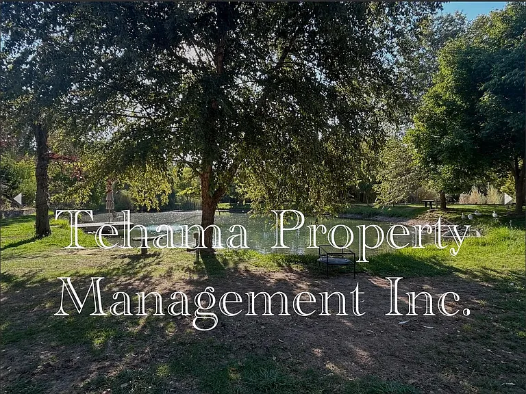 14807 Hilltop Dr — Photo 7