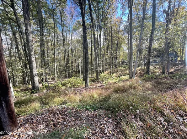 Mountain Ash Ln, White Haven, PA 18661