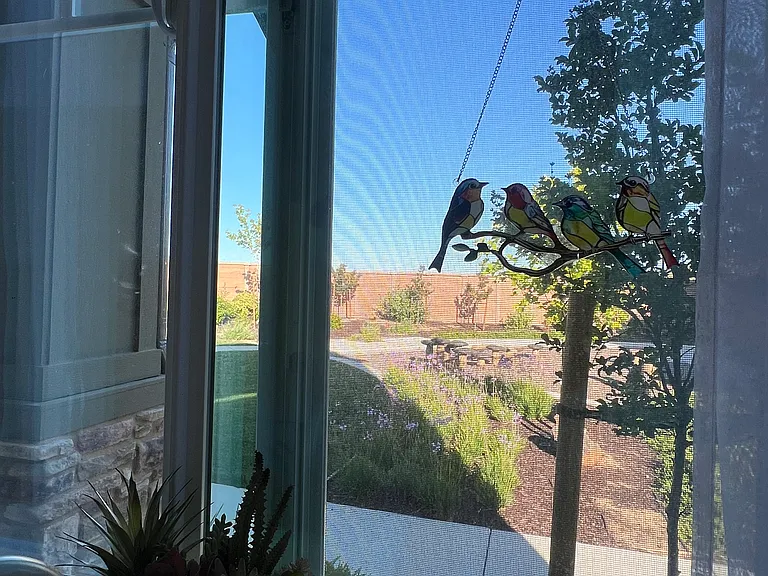 Living Room Window