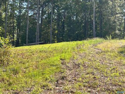 830 Dyar Dr, Boaz, AL, 35957