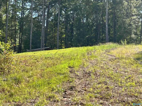 830 Dyar Dr, Boaz, AL 35957