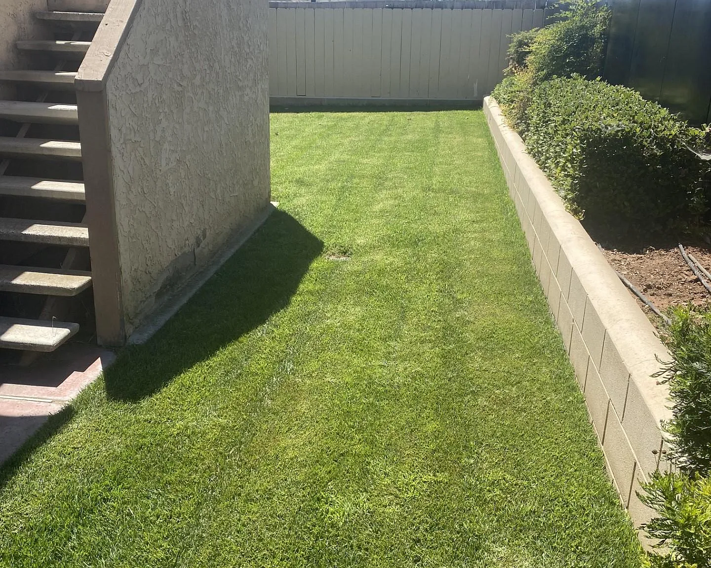 1462 Peach Ave — Photo 4
