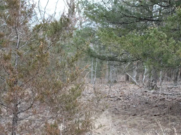 Toriyama Cir #3694, Edwards, MO 65326