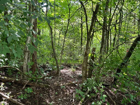 058-00-00-02200 Shadrick Ferry Rd, Frankfort, KY 40601