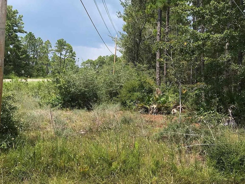 2nd image of Bluefish Rd