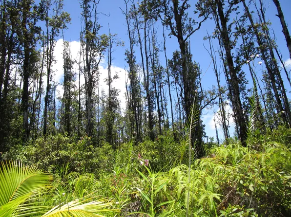 Aulii St Lot 25, Kurtistown, HI 96760