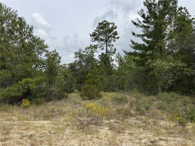 4468 W Malaluka Cir Lot 3, Dunnellon, FL, 34433