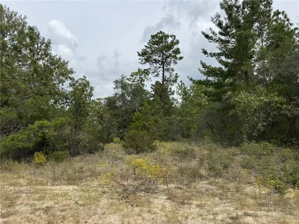 4468 W Malaluka Cir Lot 3, Dunnellon, FL 34433