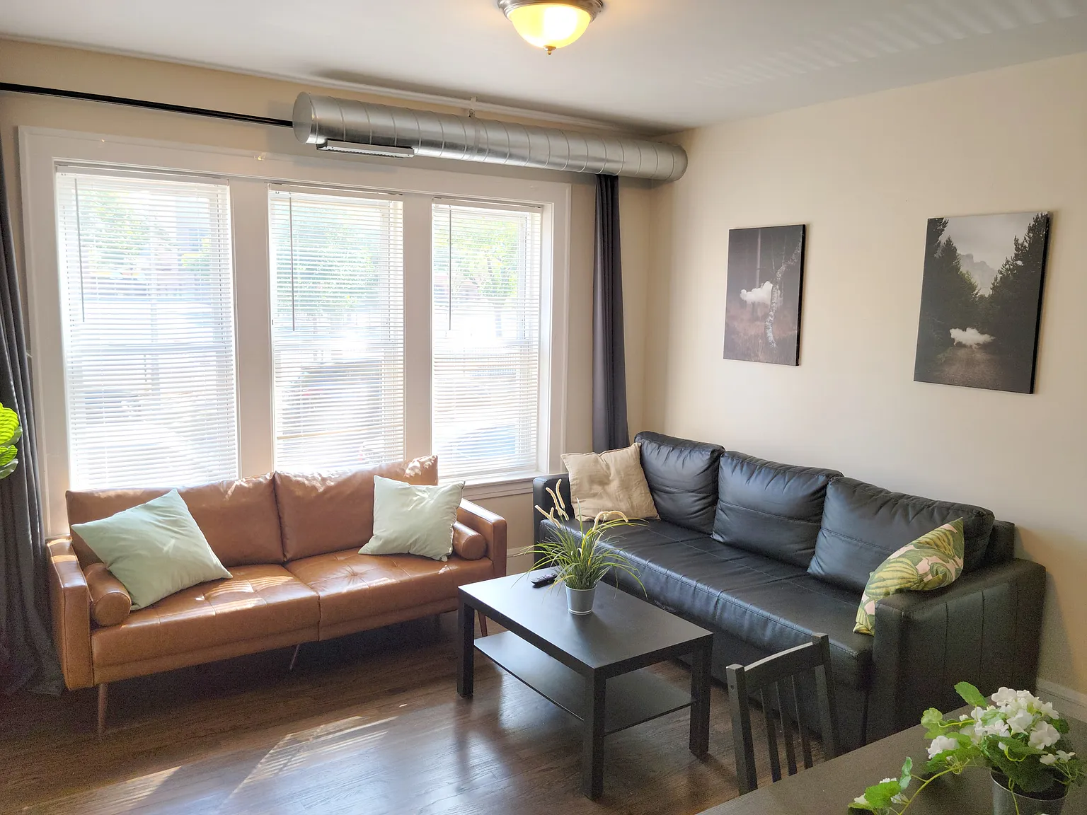 2 bed, 900 sqft, $1,600 — Photo 3