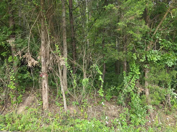 D St, Louisa, KY 41230