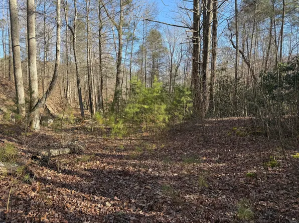 805 Bogard Creek Rd, Cosby, TN 37722