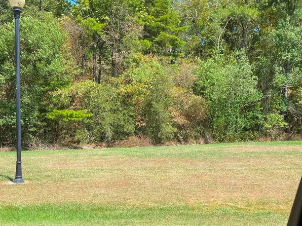 LOT 41 Shelby Dr, Denham Springs, LA 70706